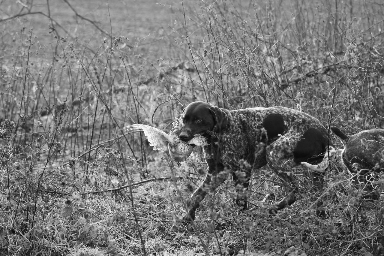 Photo non disponible